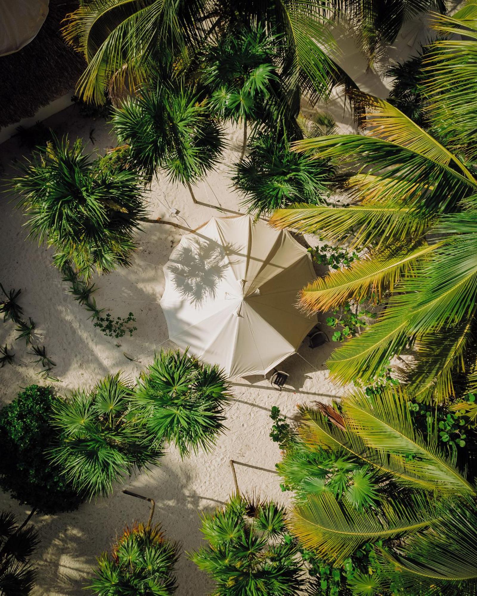 Hotel Cielo Y Selva Punta Allen Exterior foto